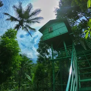 Bauernhof The Wayside, Munnar